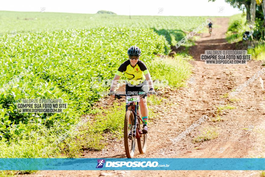 Circuito Decathlon Off Road - Etapa 4 - Pedreira