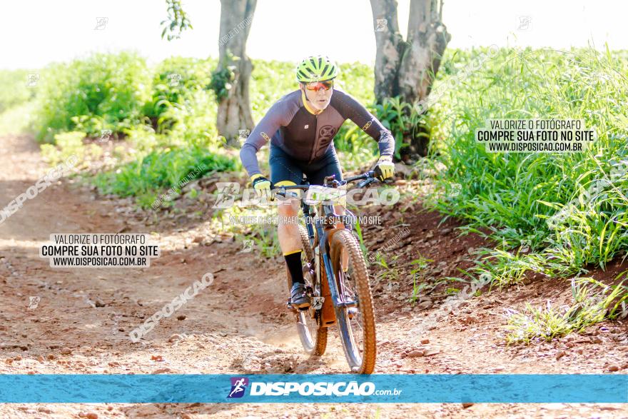 Circuito Decathlon Off Road - Etapa 4 - Pedreira