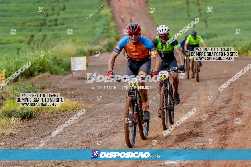 V GP Mandaguaçu de MTB