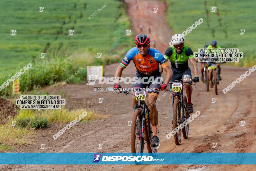 V GP Mandaguaçu de MTB