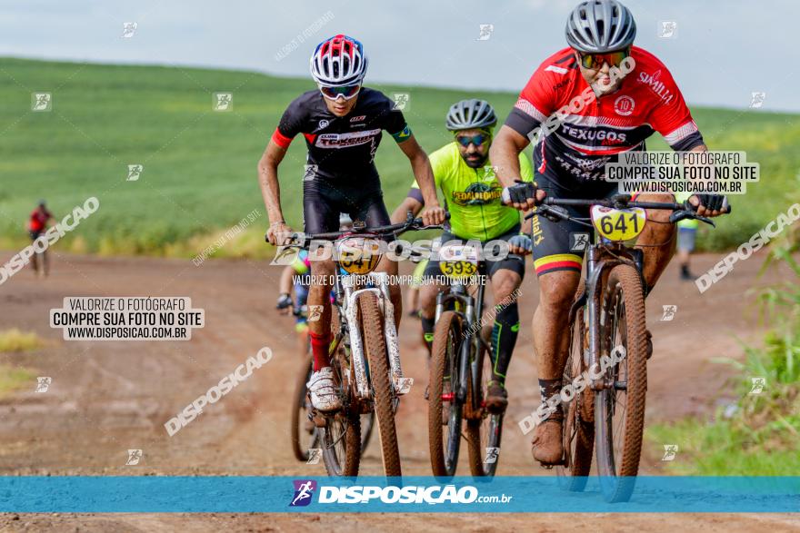 V GP Mandaguaçu de MTB