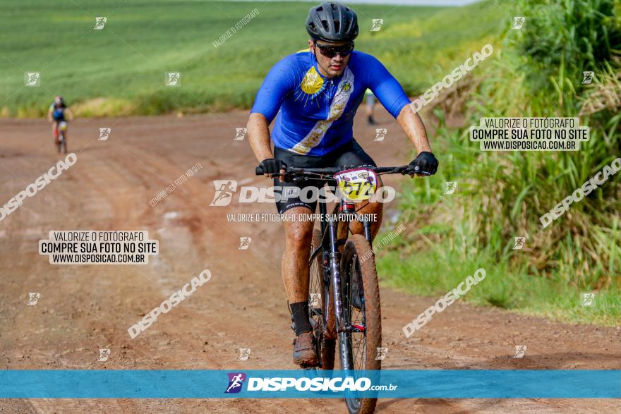 V GP Mandaguaçu de MTB