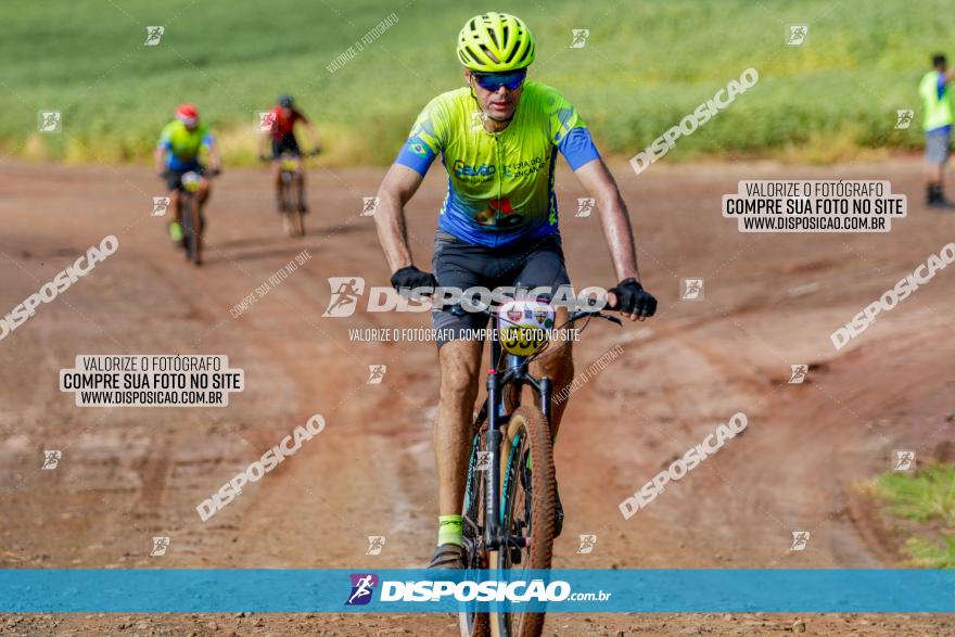 V GP Mandaguaçu de MTB