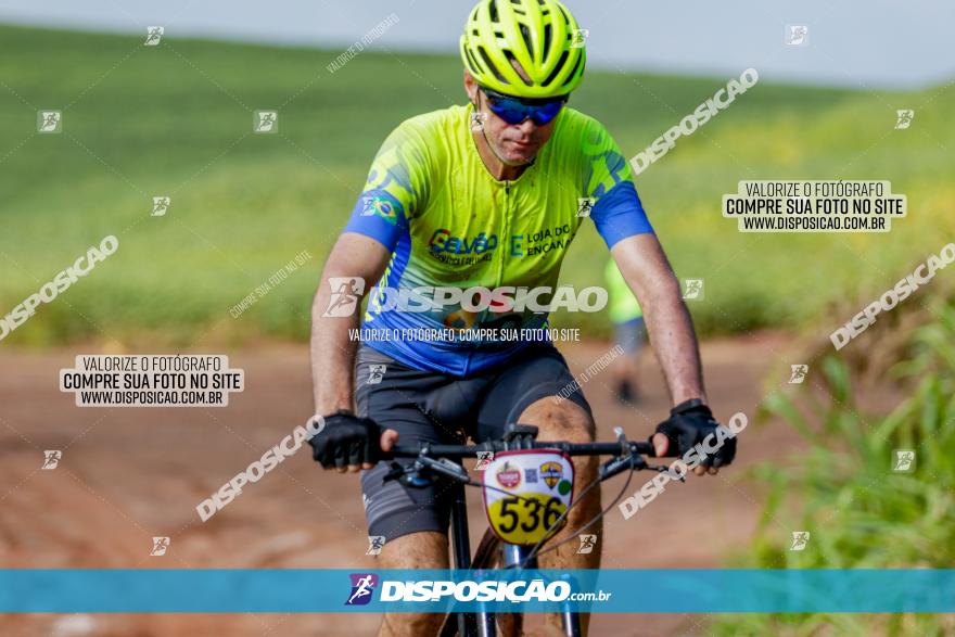 V GP Mandaguaçu de MTB