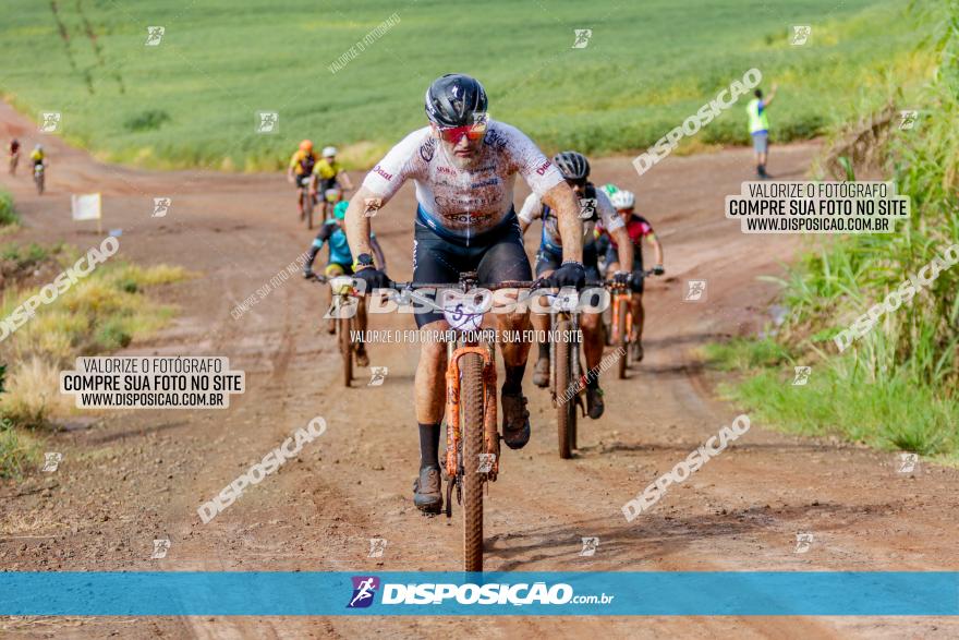 V GP Mandaguaçu de MTB