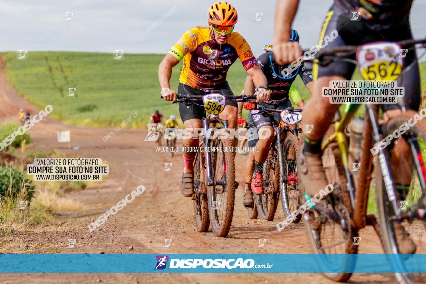 V GP Mandaguaçu de MTB