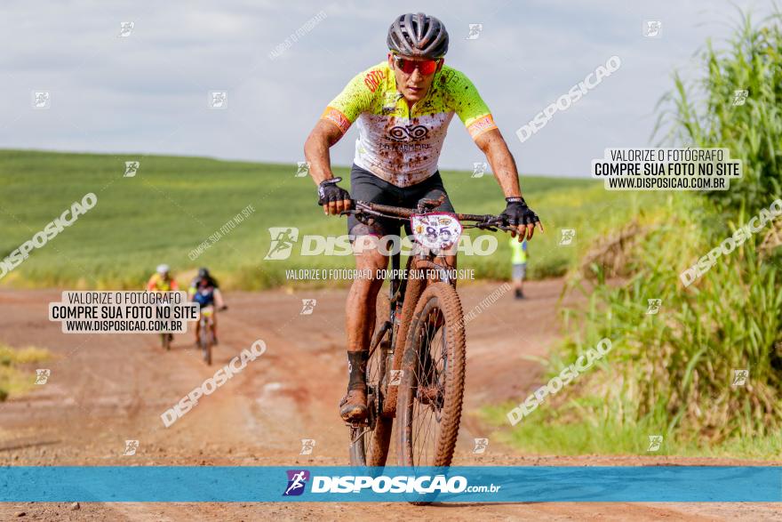 V GP Mandaguaçu de MTB