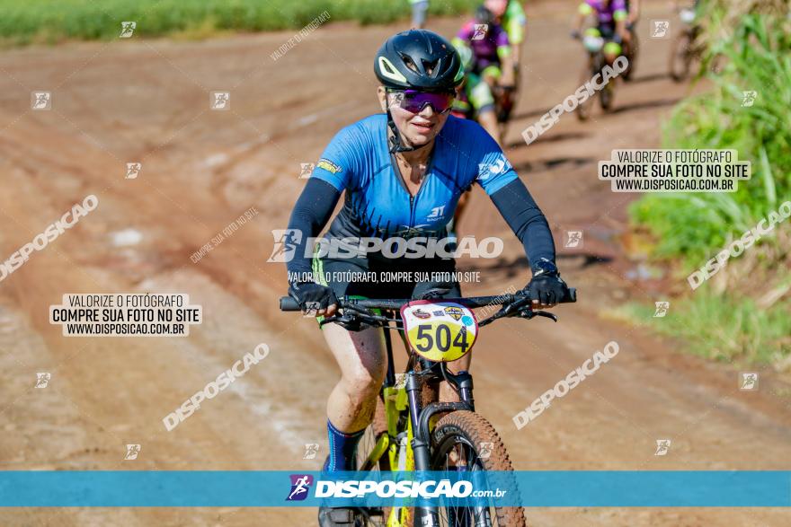 V GP Mandaguaçu de MTB