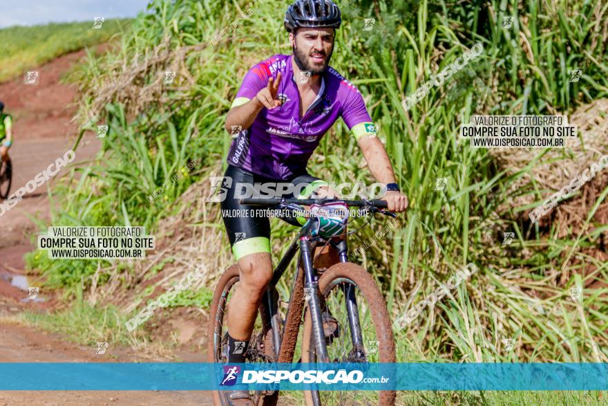 V GP Mandaguaçu de MTB