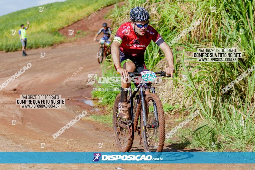 V GP Mandaguaçu de MTB