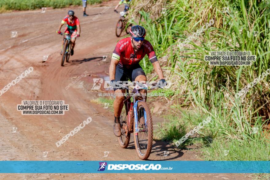 V GP Mandaguaçu de MTB