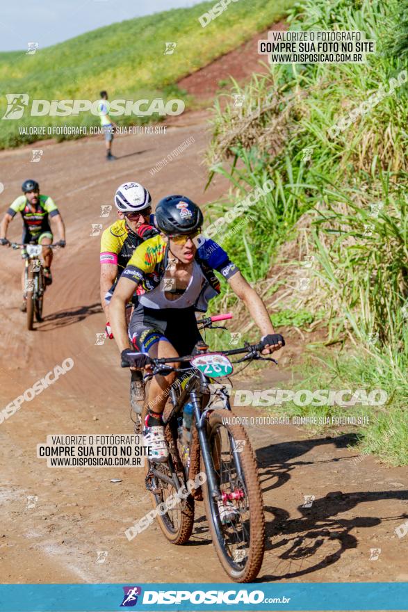 V GP Mandaguaçu de MTB