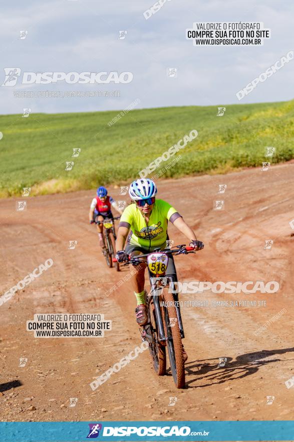 V GP Mandaguaçu de MTB