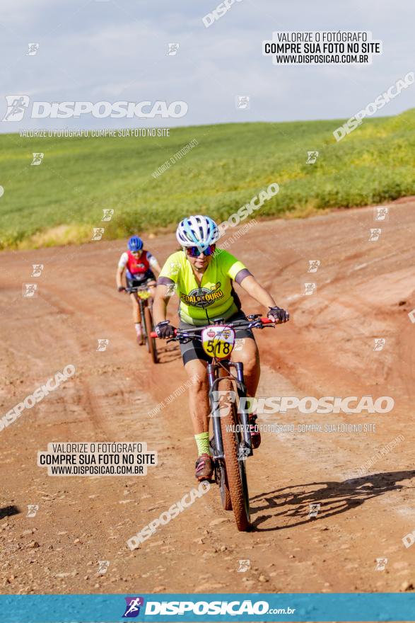 V GP Mandaguaçu de MTB