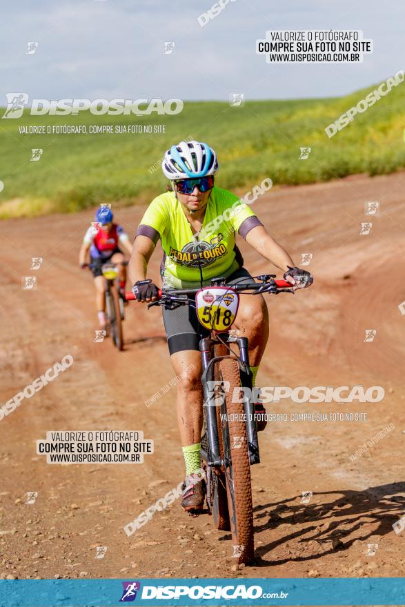 V GP Mandaguaçu de MTB