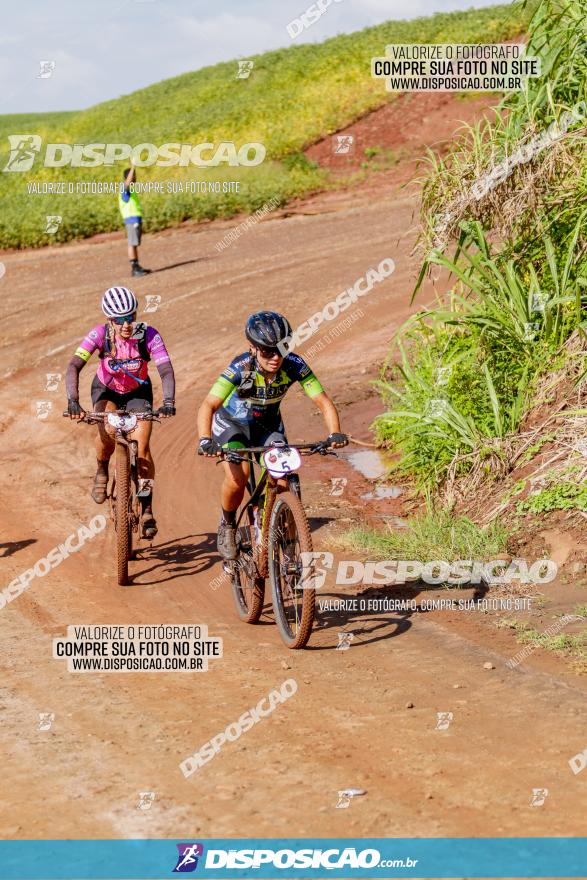 V GP Mandaguaçu de MTB