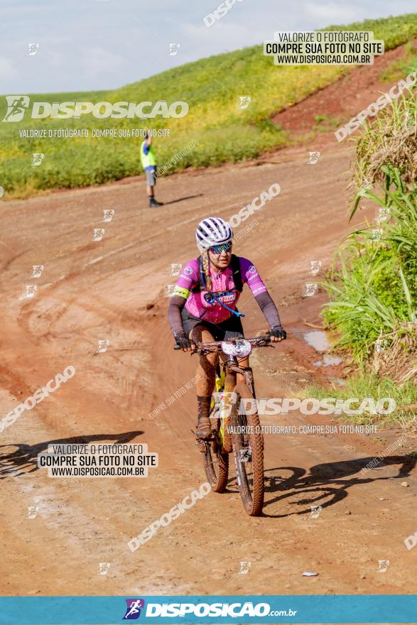 V GP Mandaguaçu de MTB