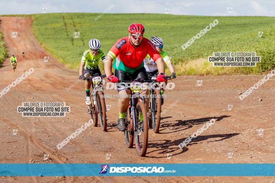 V GP Mandaguaçu de MTB