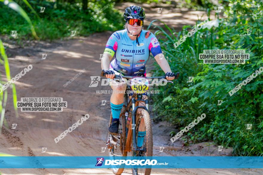 V GP Mandaguaçu de MTB