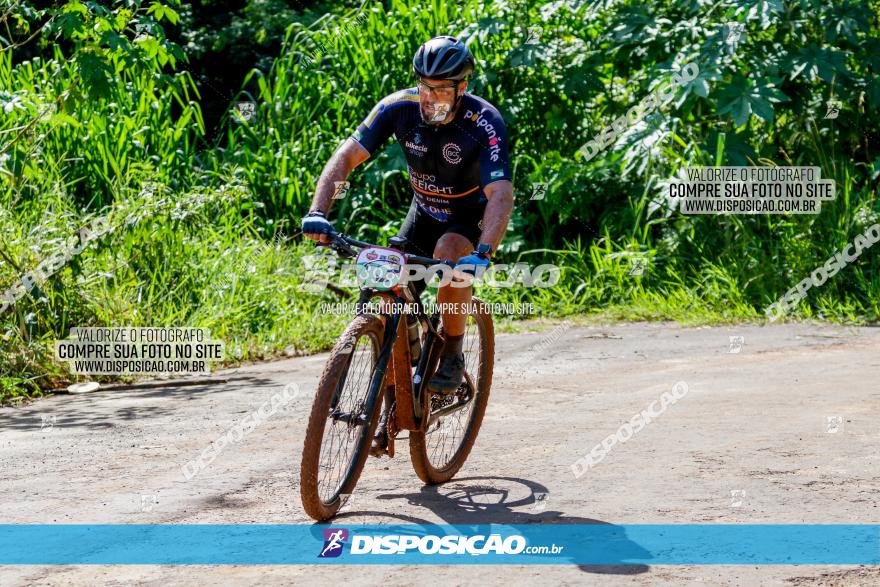 V GP Mandaguaçu de MTB