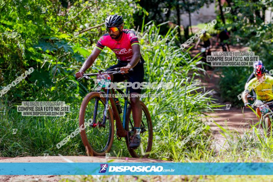 V GP Mandaguaçu de MTB