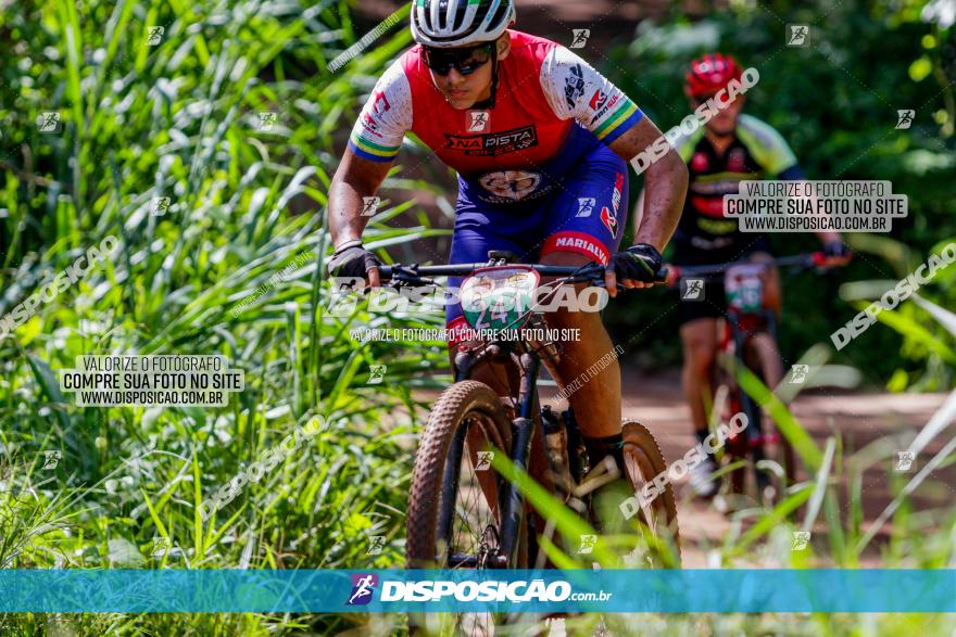 V GP Mandaguaçu de MTB