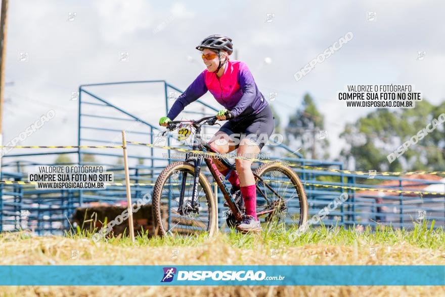 V GP Mandaguaçu de MTB