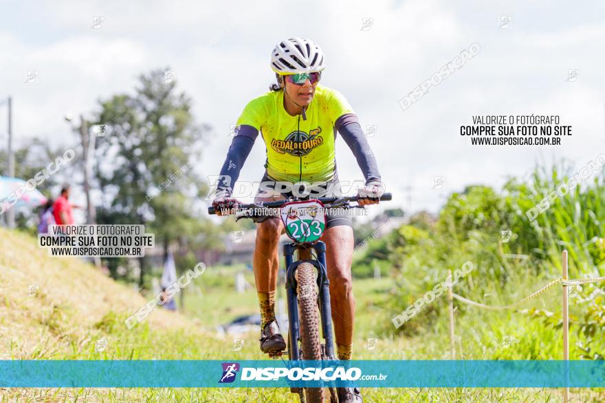 V GP Mandaguaçu de MTB