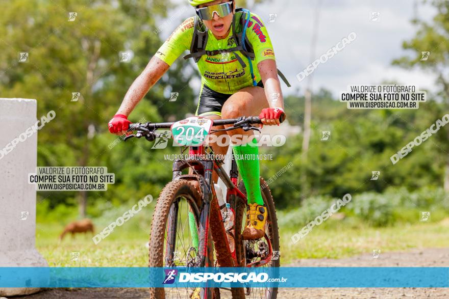 V GP Mandaguaçu de MTB