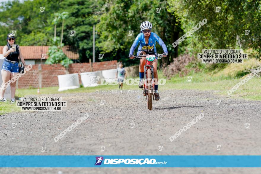 V GP Mandaguaçu de MTB