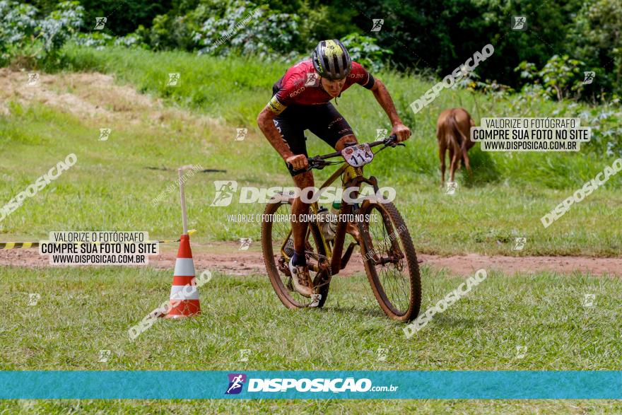 V GP Mandaguaçu de MTB