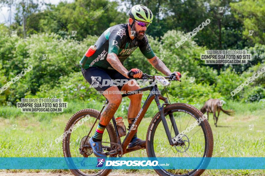 V GP Mandaguaçu de MTB