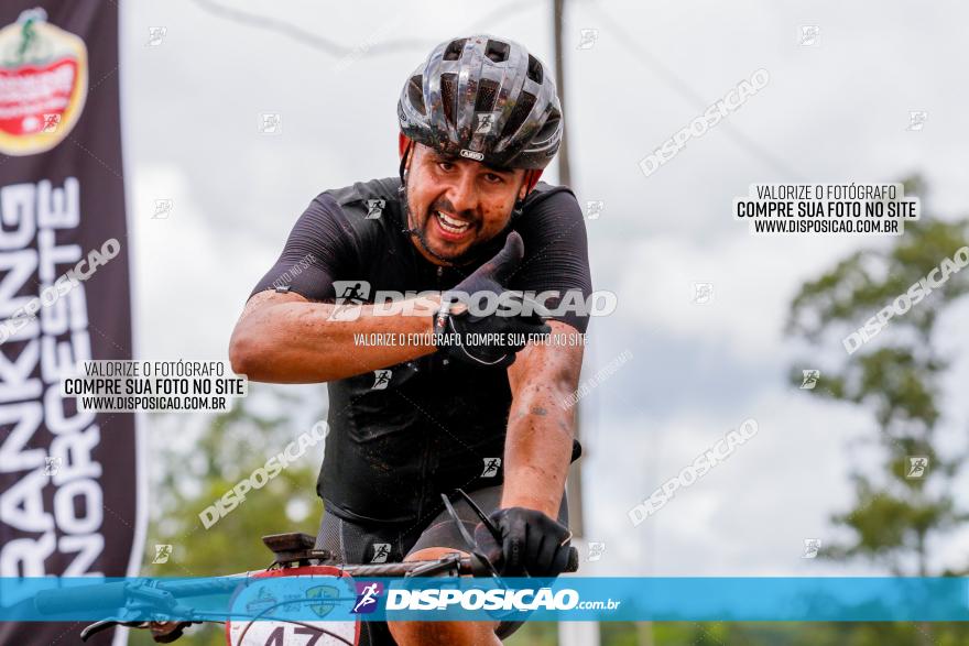 V GP Mandaguaçu de MTB