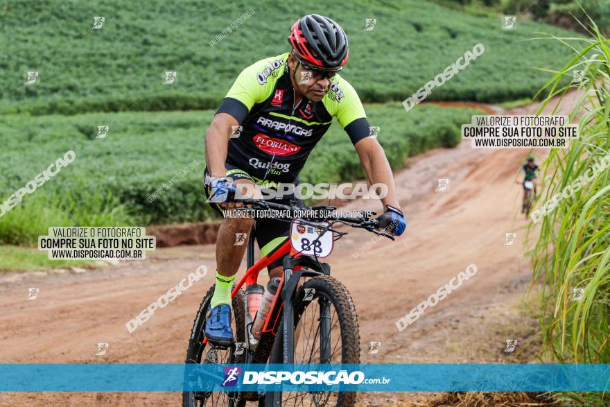 V GP Mandaguaçu de MTB