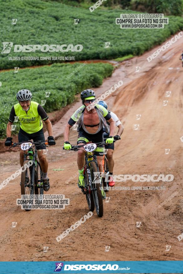 V GP Mandaguaçu de MTB