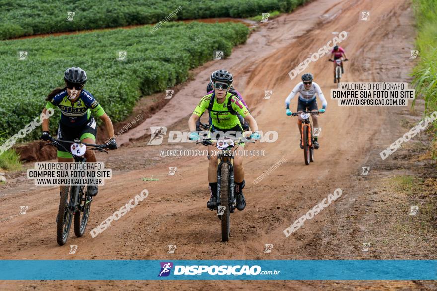 V GP Mandaguaçu de MTB