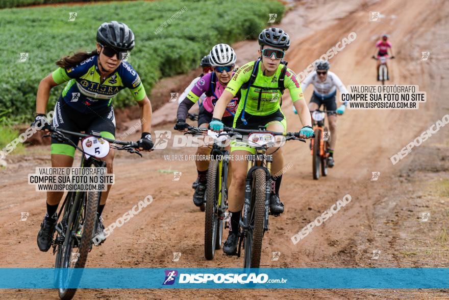 V GP Mandaguaçu de MTB