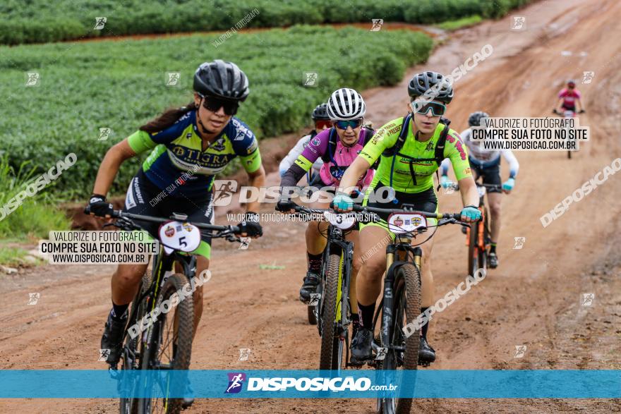 V GP Mandaguaçu de MTB