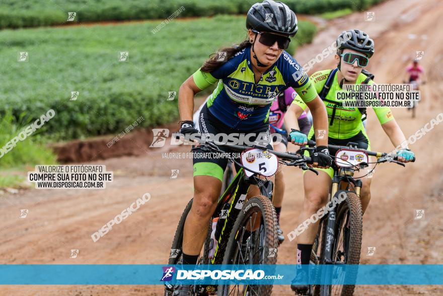 V GP Mandaguaçu de MTB