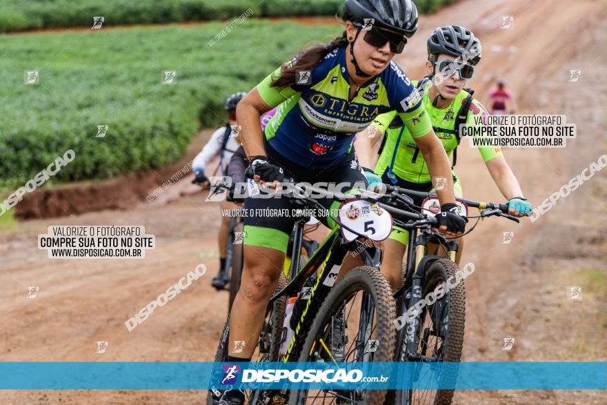 V GP Mandaguaçu de MTB