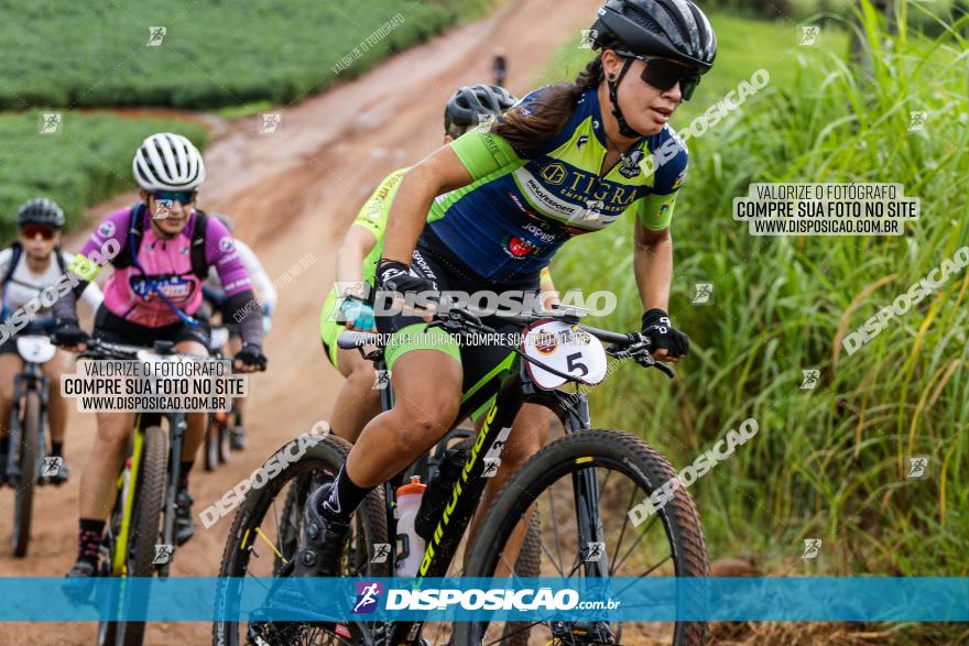 V GP Mandaguaçu de MTB