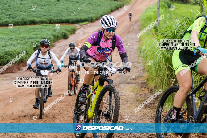 V GP Mandaguaçu de MTB