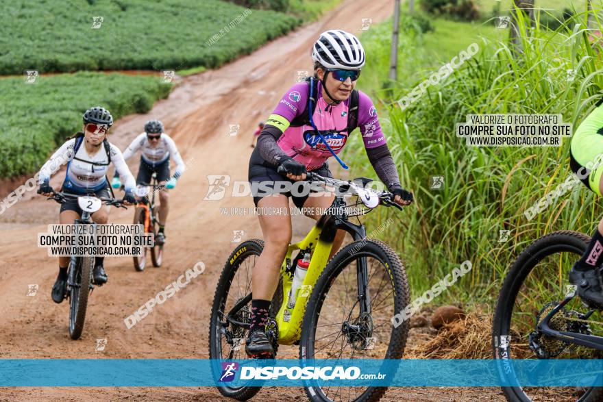 V GP Mandaguaçu de MTB