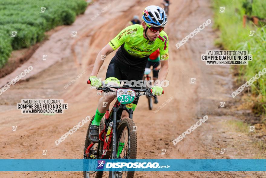 V GP Mandaguaçu de MTB