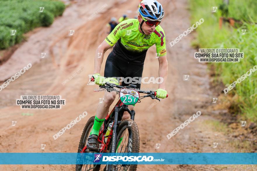 V GP Mandaguaçu de MTB