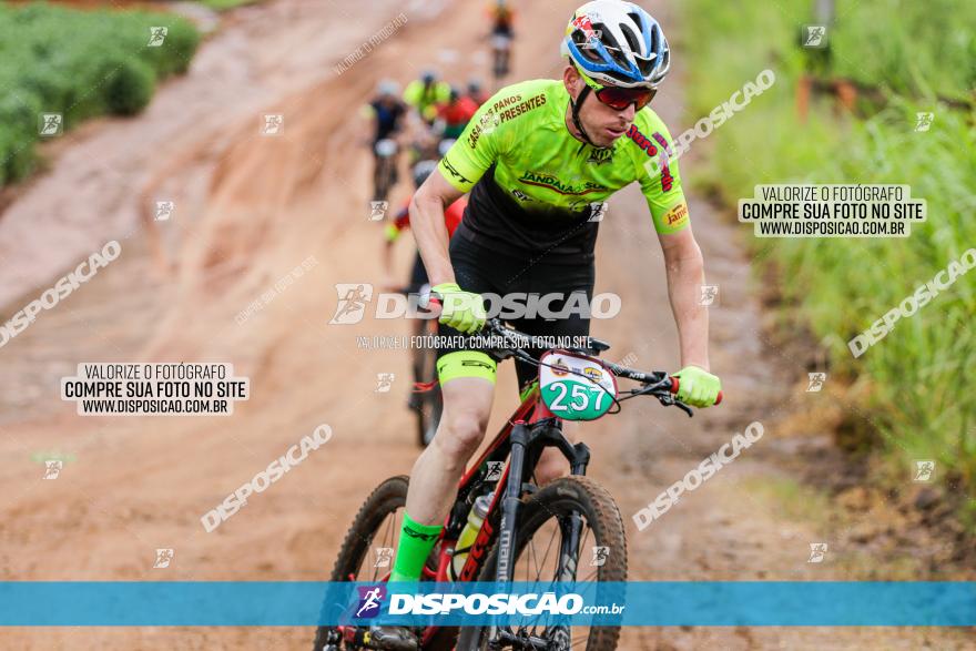 V GP Mandaguaçu de MTB