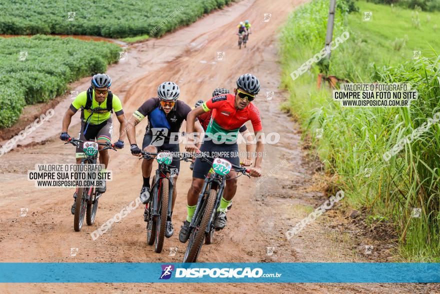 V GP Mandaguaçu de MTB