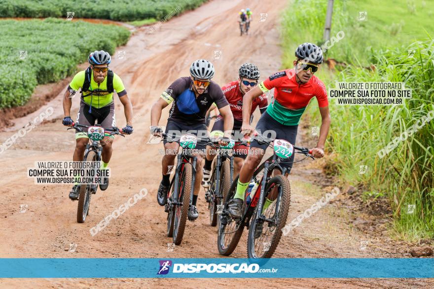 V GP Mandaguaçu de MTB