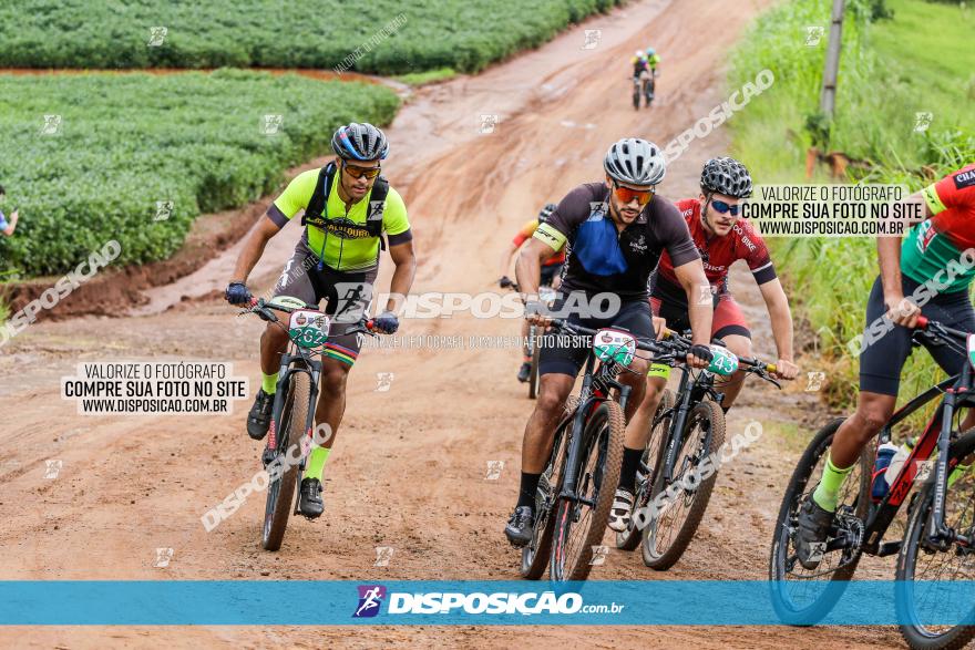 V GP Mandaguaçu de MTB