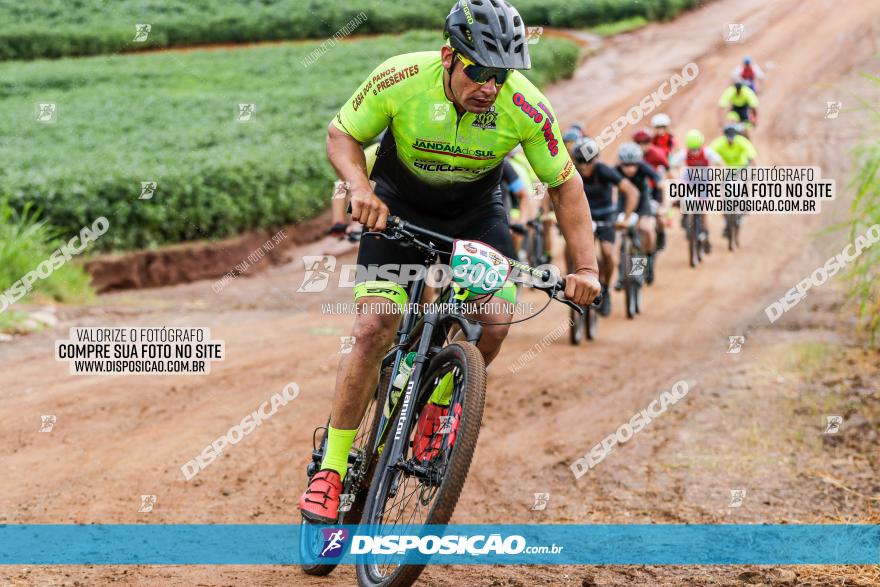 V GP Mandaguaçu de MTB